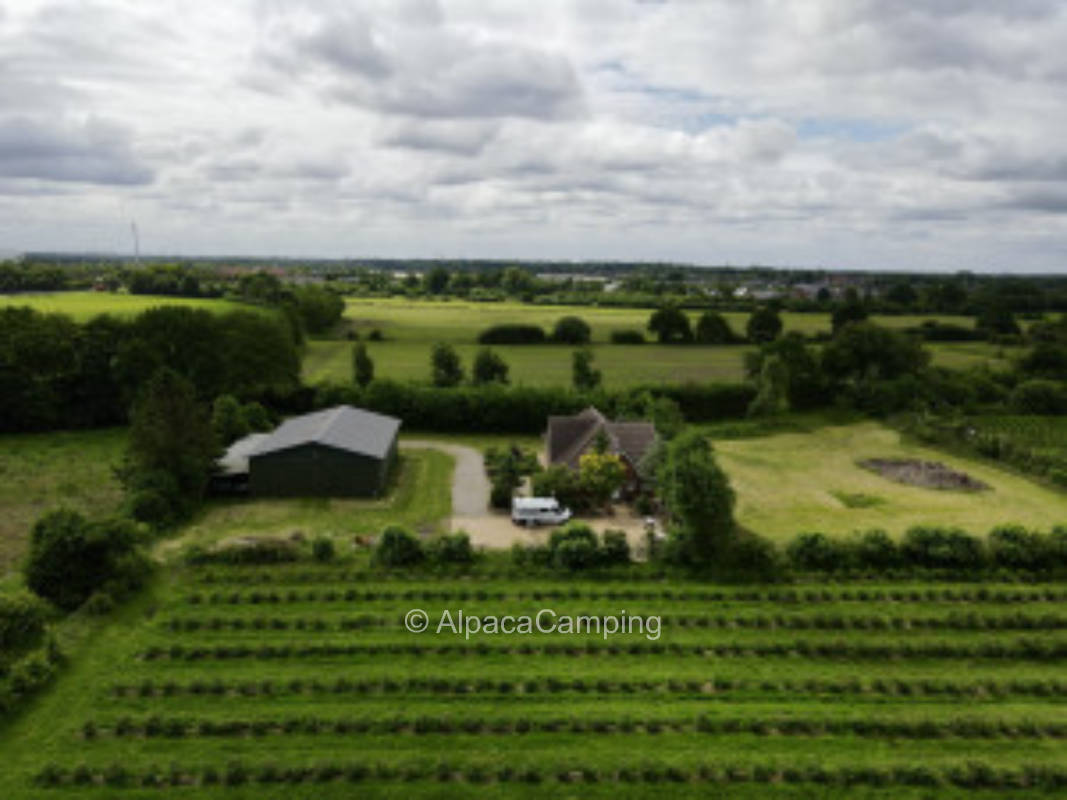 At the farm near the Baltic Sea #3