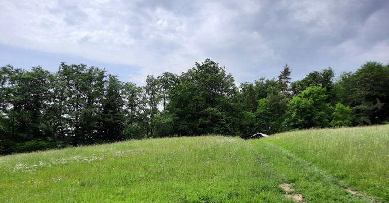 privater Stellplatz, sehr ruhig gelegen (Campspace 9548)
