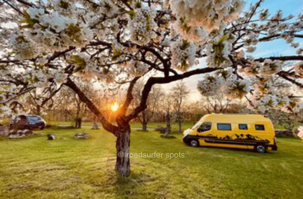 Berginsel Camping 