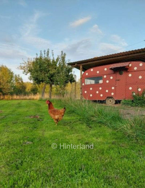 Villa Wölkchen -Zelten auf der Streuobstwiese
