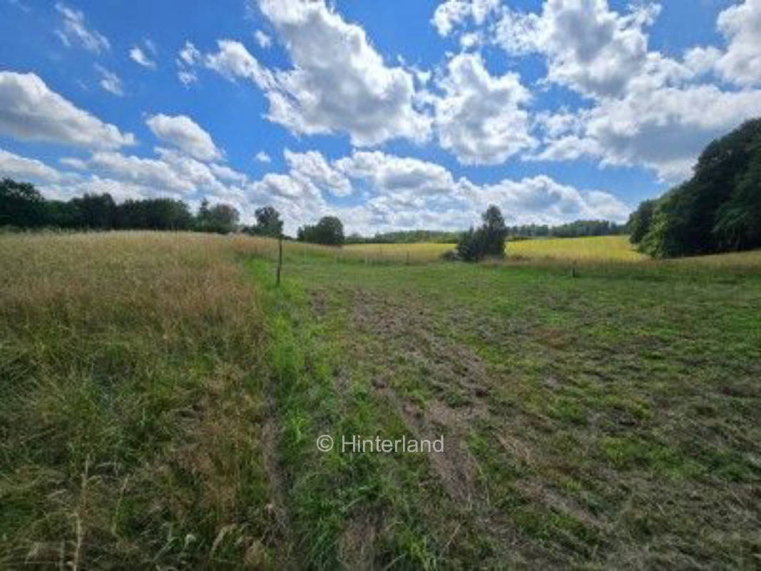 Campen in der Nähe des Müritz Nationalparks 