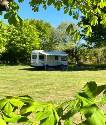 Near Stade & Alte Land: Idyllic Meadow Camp