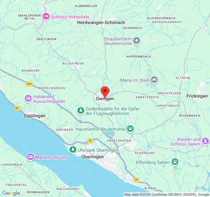Bodensee Panorama-Alpenblick