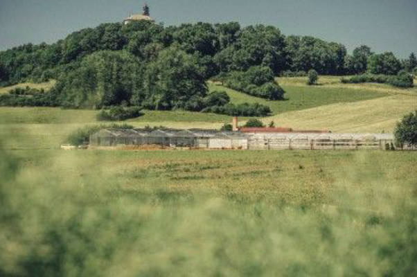 Meadow at the nursery with idyllic views