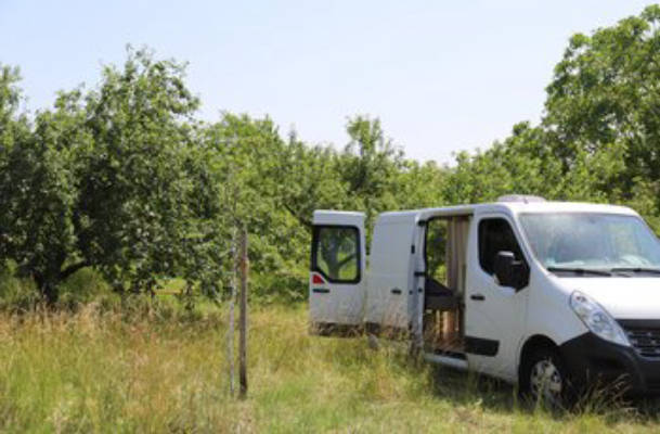 Camping Wilde Ruhe on natural-style orchard meadow