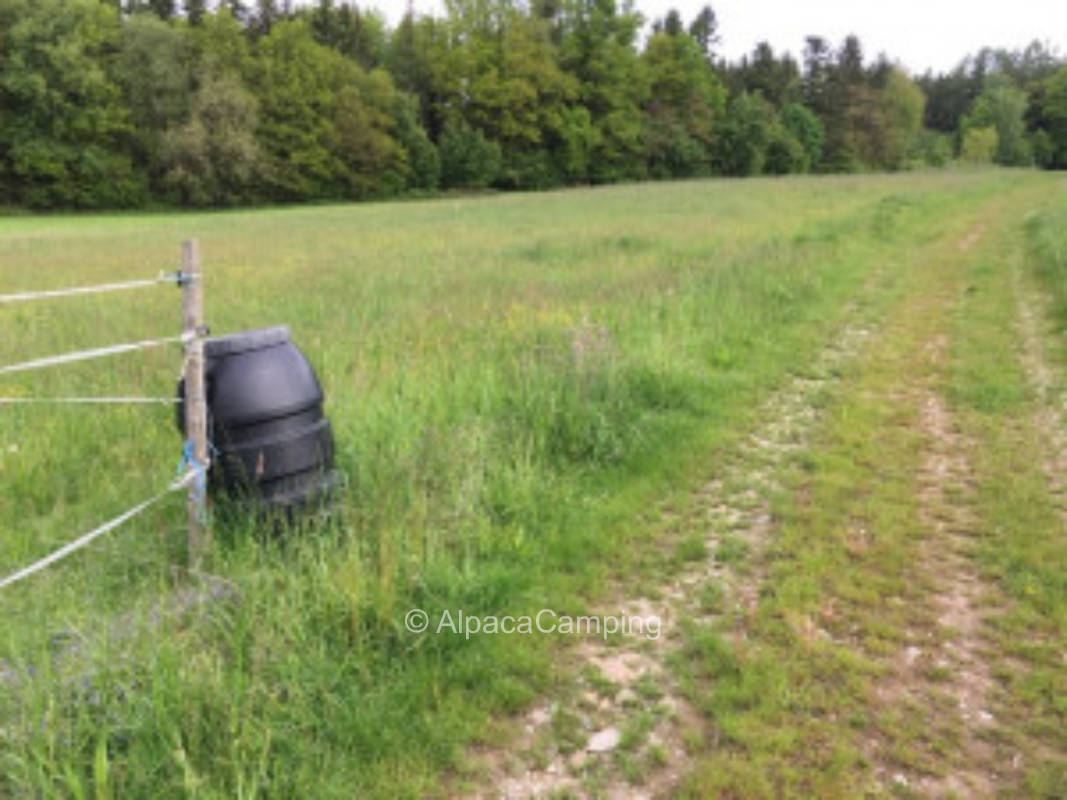 Camper on the meadow at the organic farm #10