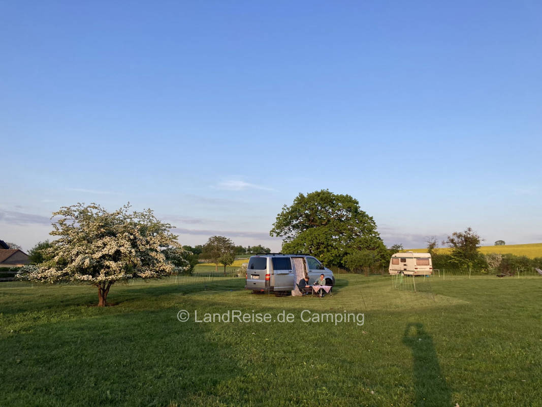 Bauershof, wo die Heidschnucken schlafen
