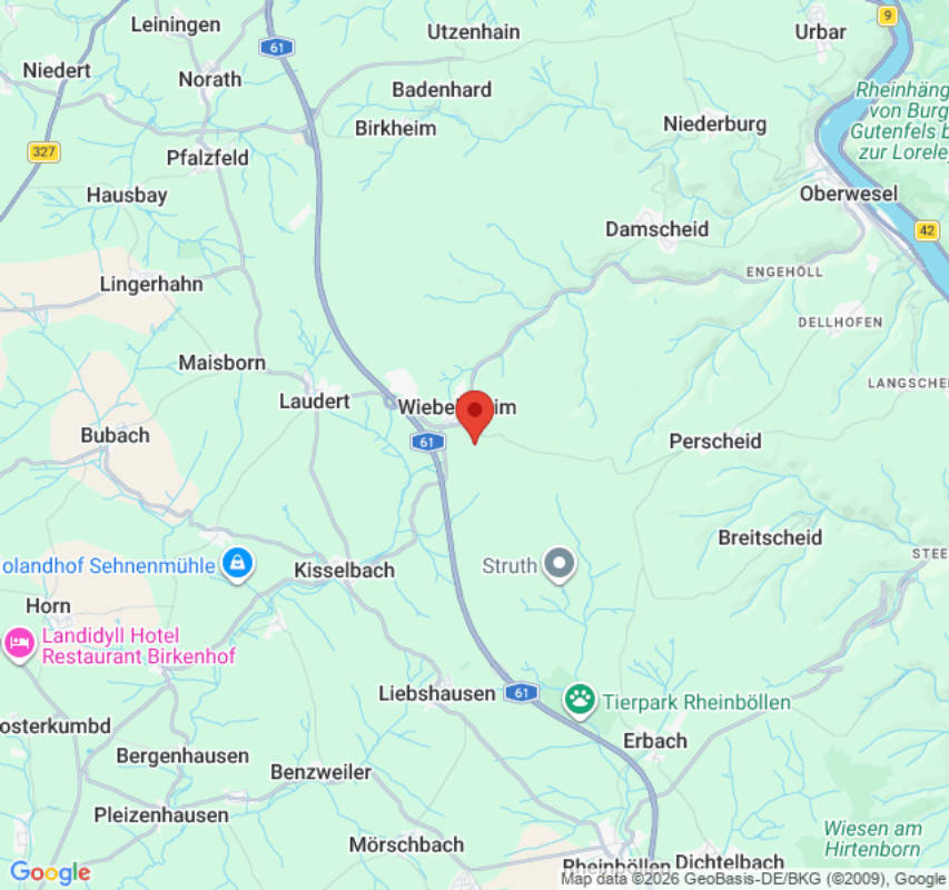 Stellplatz zwischen Hunsrück und Mittelrhein (Campspace 27059)
