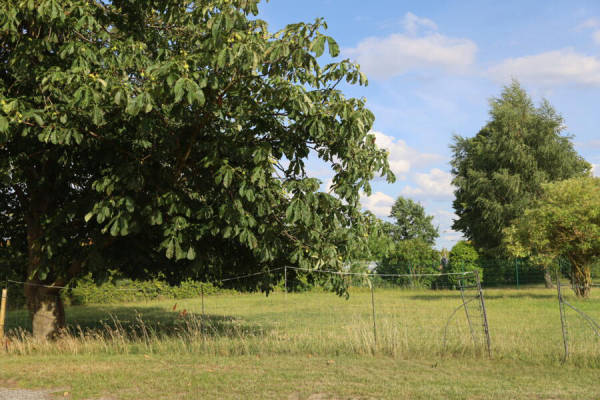 privater Stellplatz (Campspace 9039)