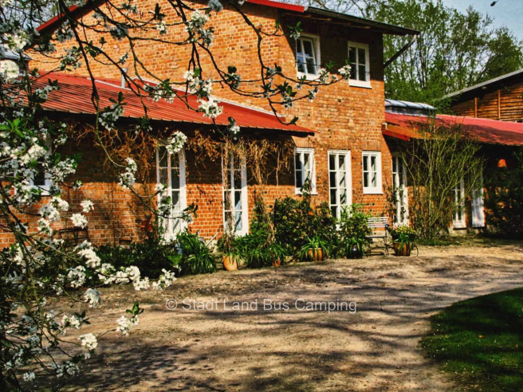Heidehof Carstens – Zwischen den Bäumen