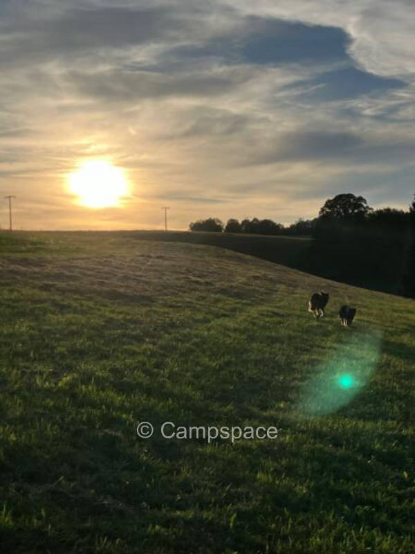 Campspace in Görwihl, Baden-Württemberg