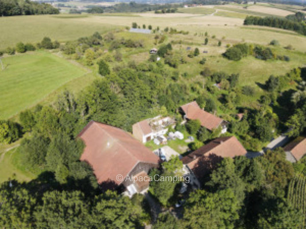 Camper auf der Wiese am Biohof #9