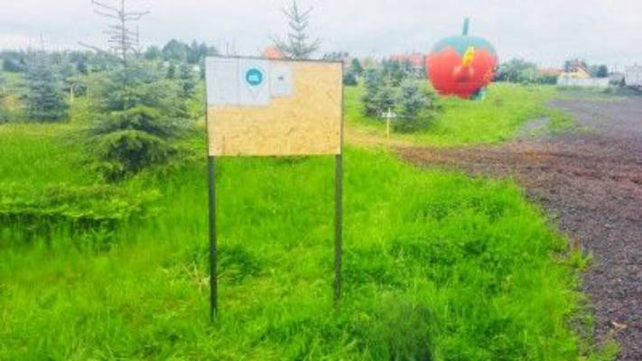 Camping in den Tannen | Umpferstedt
