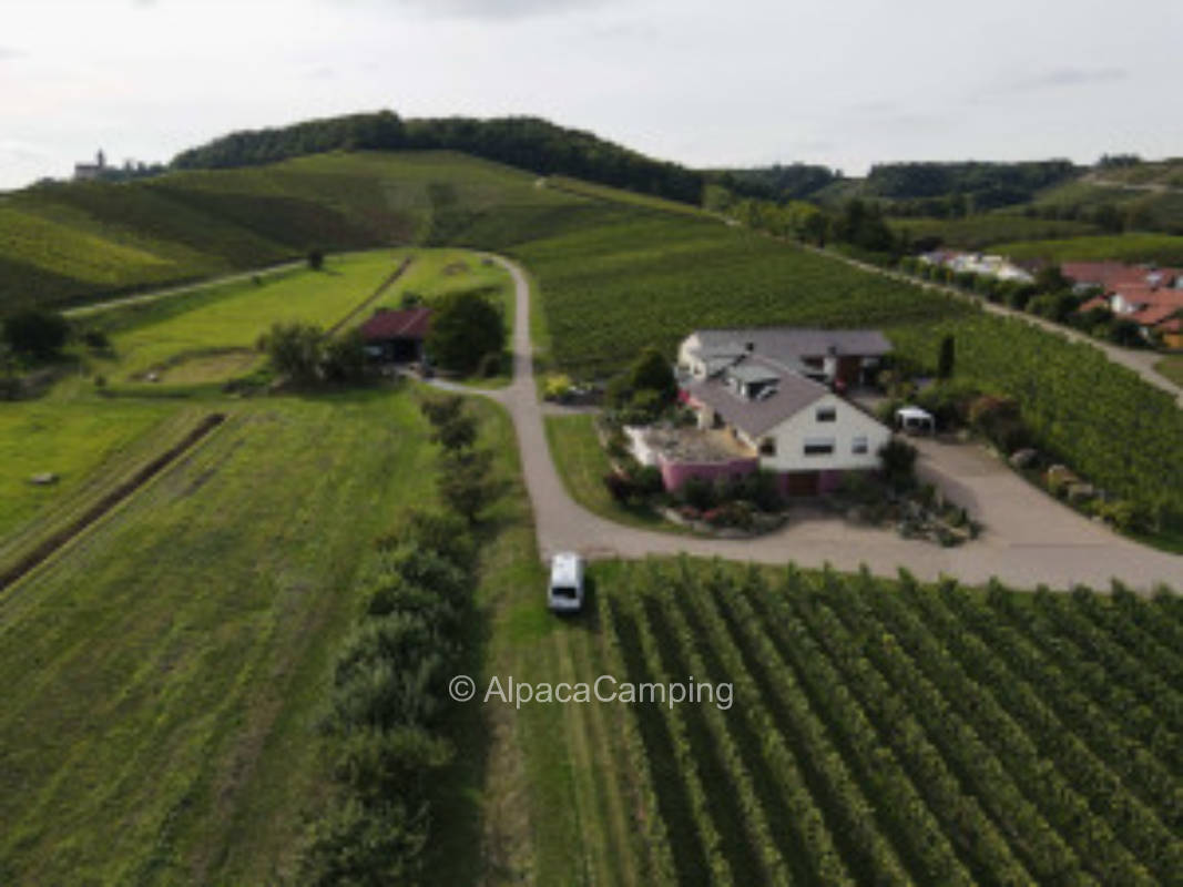 Am Weingut in Brackenheim #2