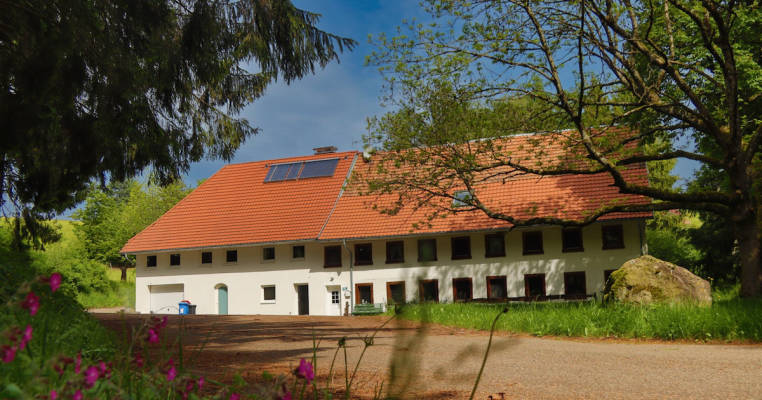 Schwarzwald Escape