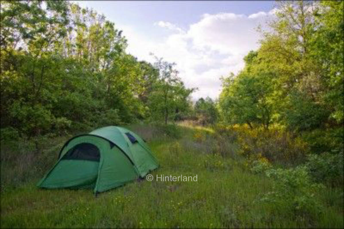 Eco Vineyard Stay with Natural Pool, Tuscany