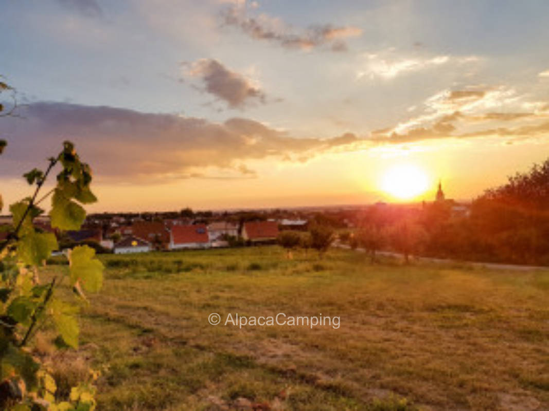 Naturidylle direkt am Weinberg #2