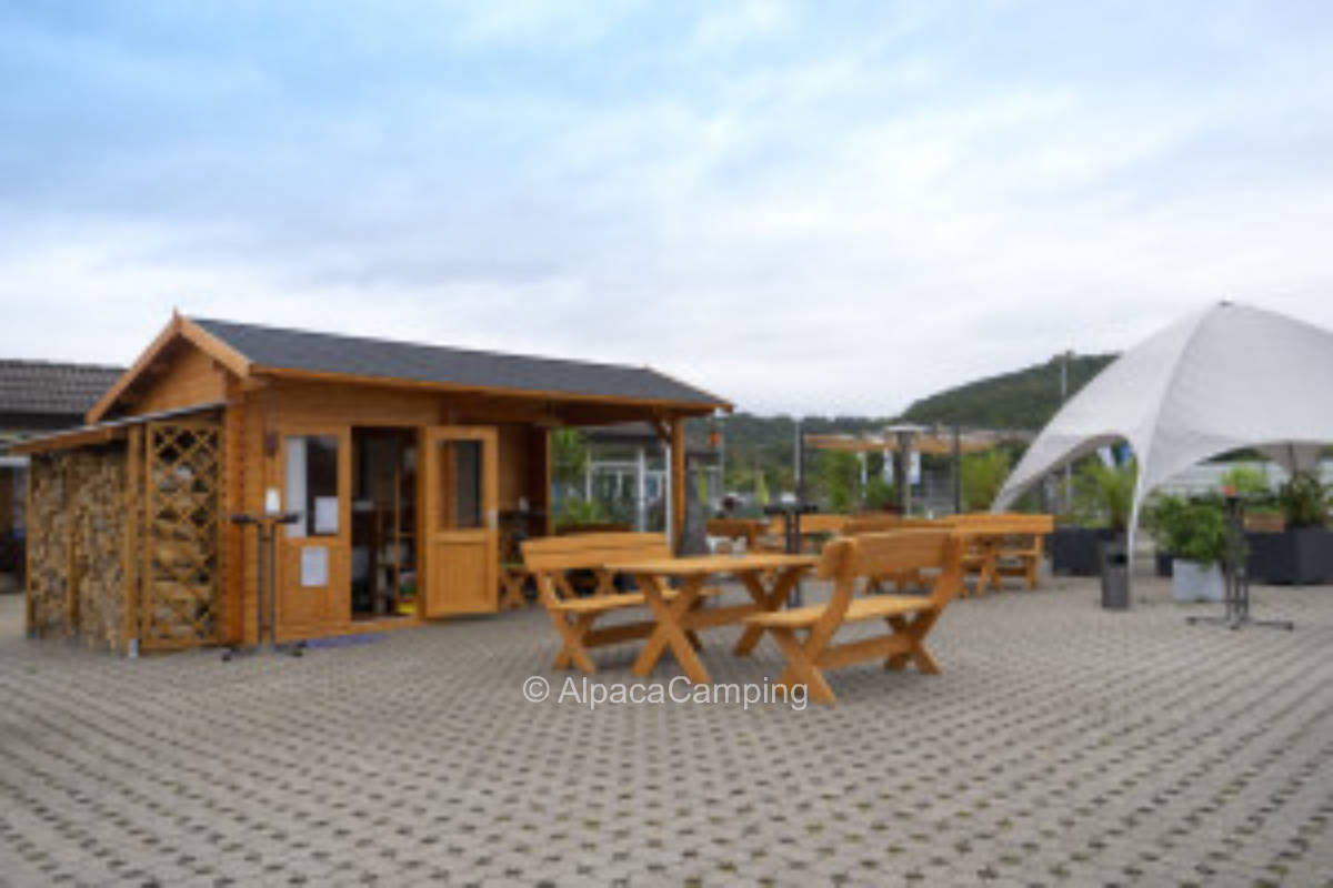 Golden floodplain #6