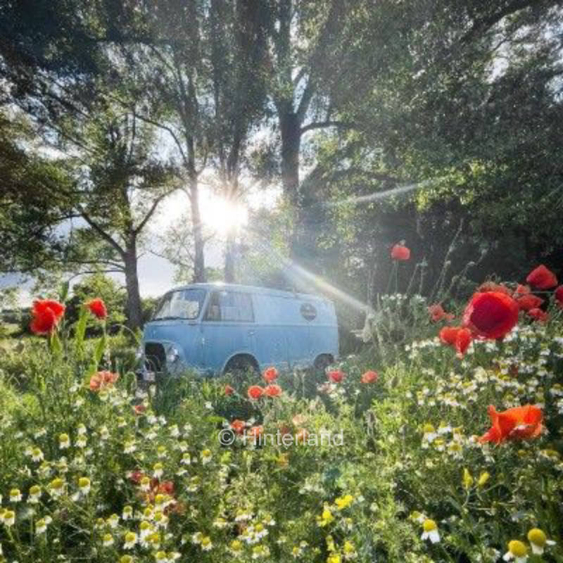 Abenteuerspielplatz/Festivalgelände Allerwiesen 
