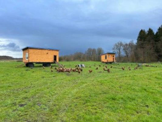 Stellplatz an der Hühnerweide im Moorgebiet