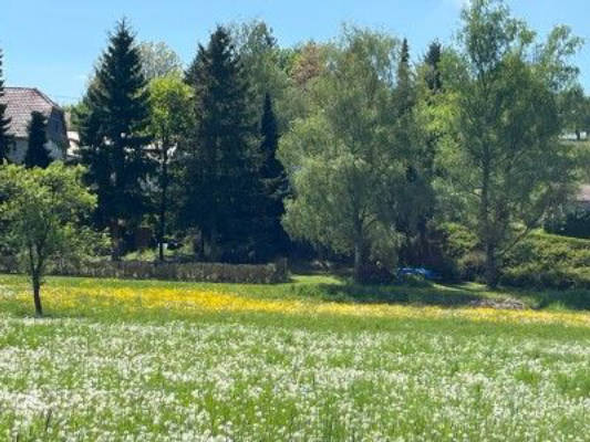 Gartencamping unter alten Bäumen: Ruhe + Natur 