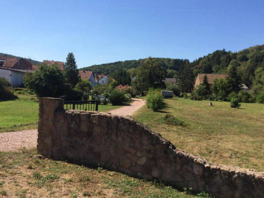 Bio-Weingut im Nordpfälzer Bergland