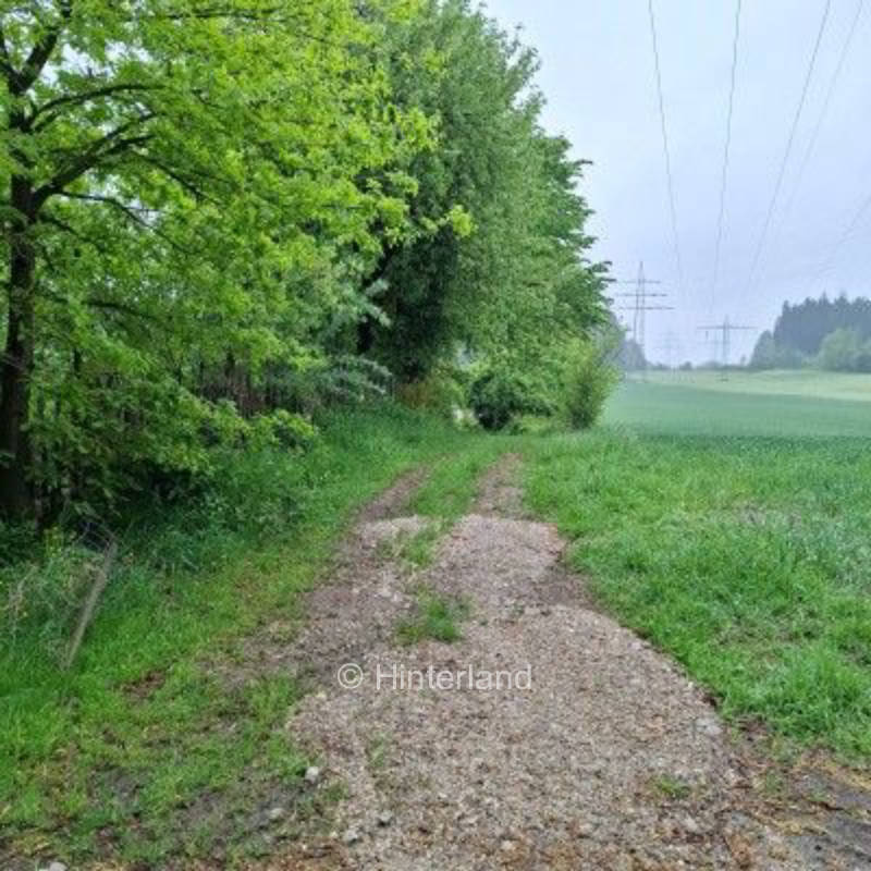 Eine Nacht im Grünen am Hühnerstall