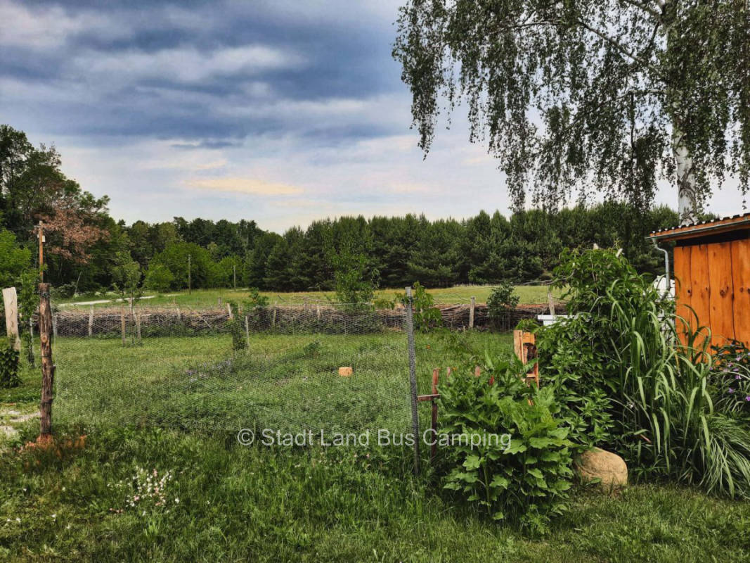 At the fruit meadow Two