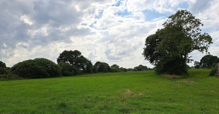 Wiese mit freiem Blick