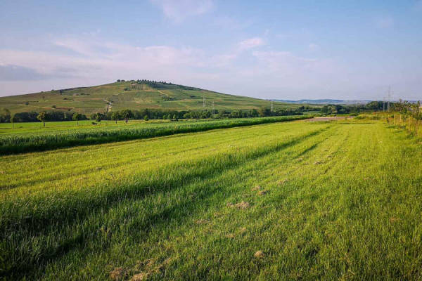 Wiese mit jungen Bäumen und paradiesischem Blick (Campspace 7236)