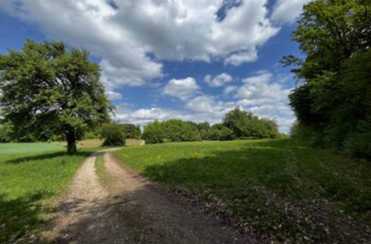 Naturwiese nahe Gößweinstein/ Nürnberger Kapelle
