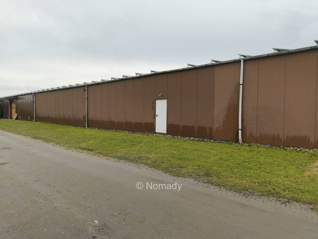 Grünstreifen, abgelegen im Dorf