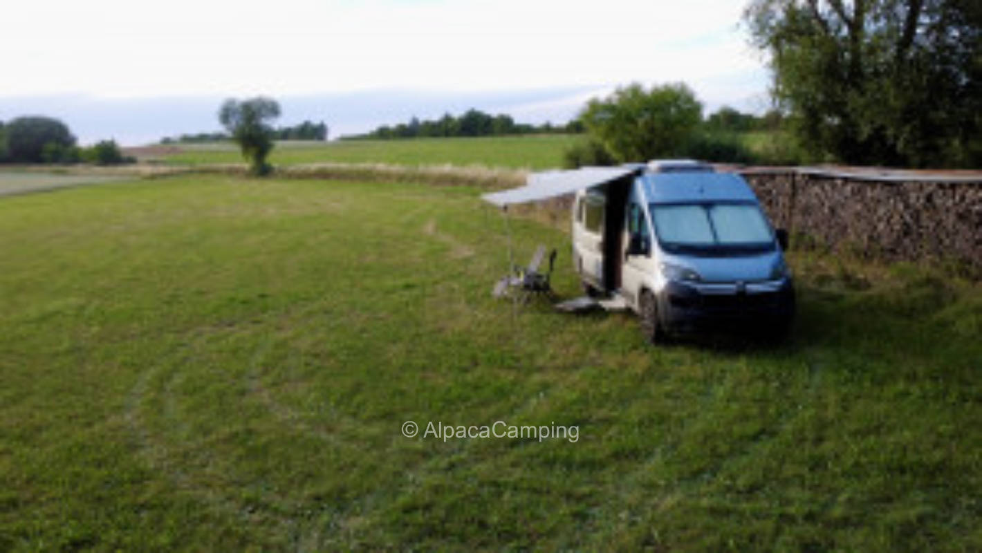 Pitch at the forest meadow #1