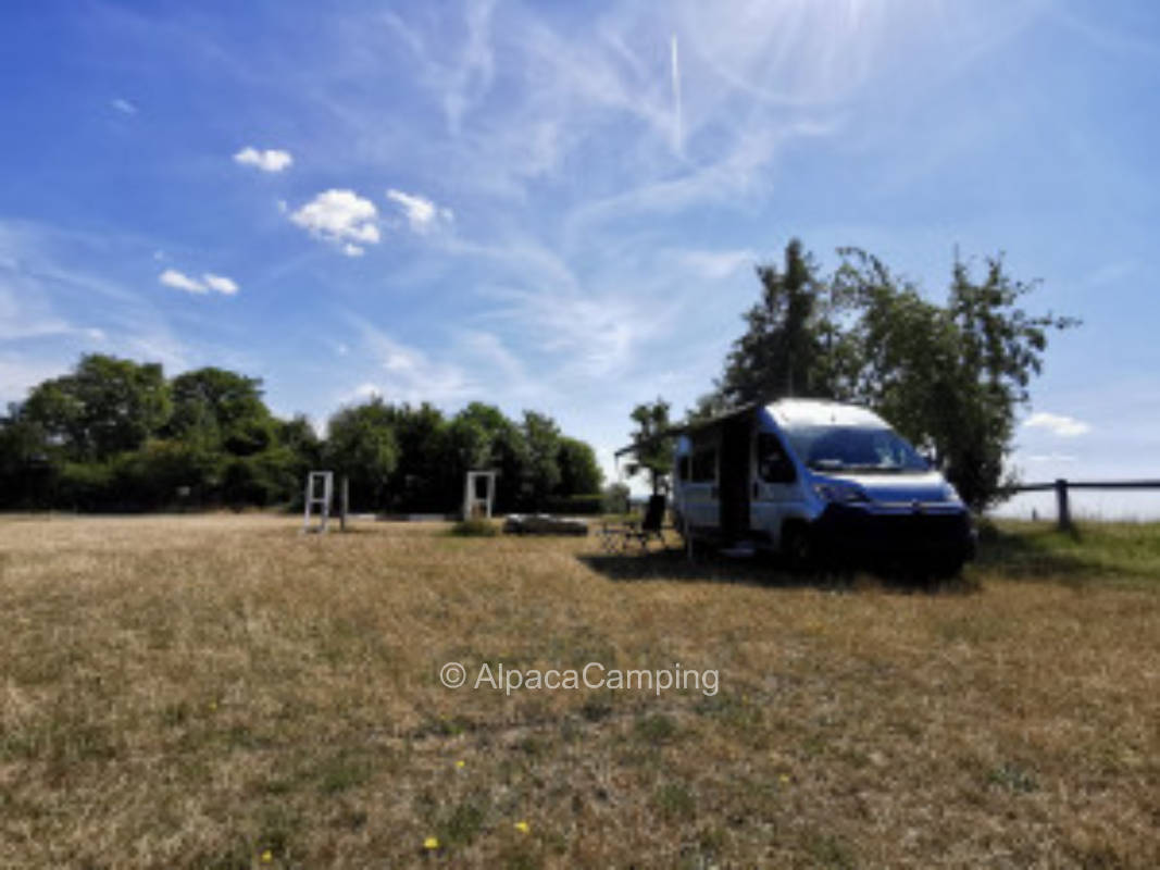 Verweilen und Natur genießen, wo die Pferde Besucher begrüßen #1