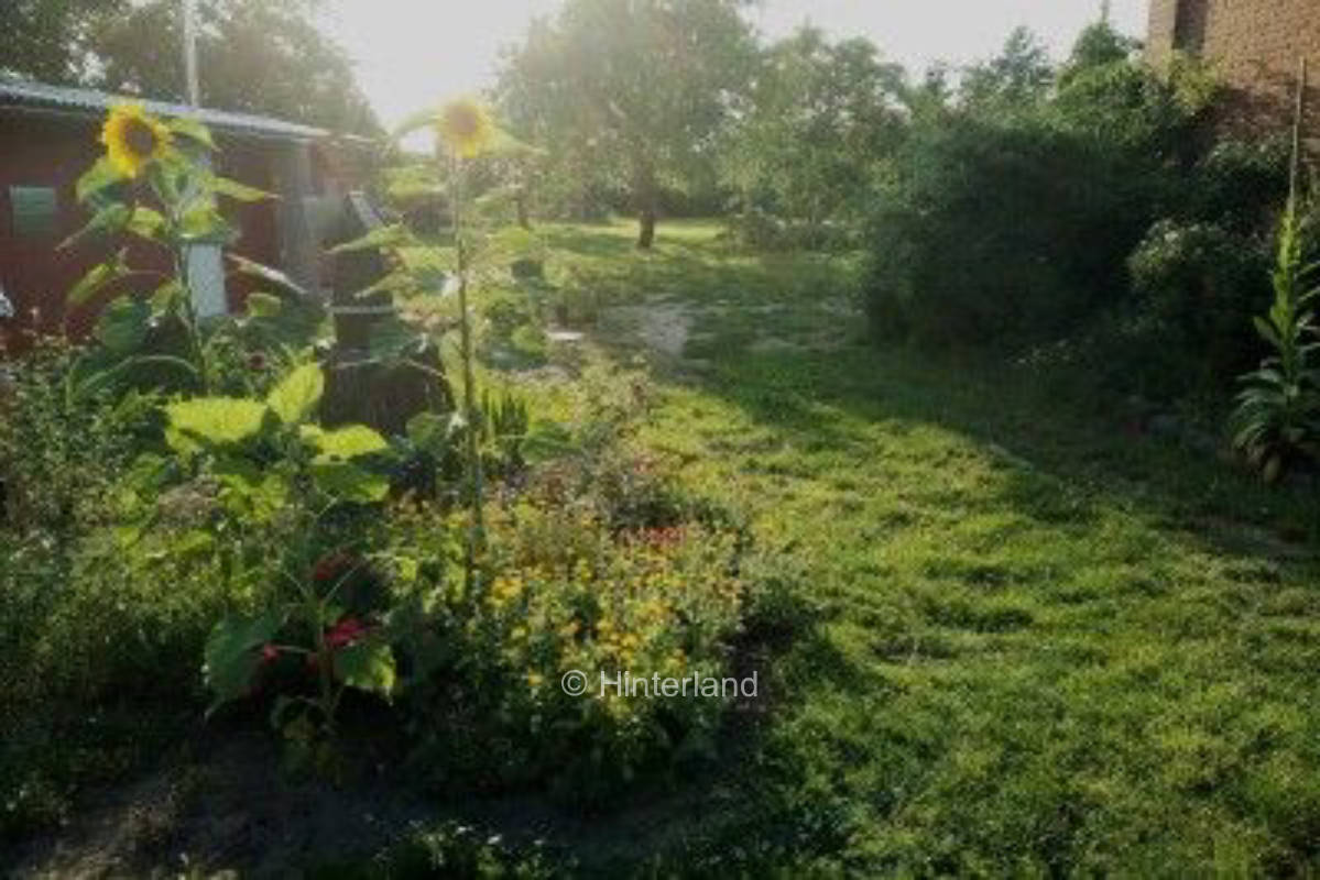 Wohnwagen/ Bulli Stellplatz auf der Obstwiese
