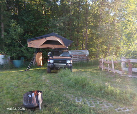 Waldwiese für 6 Personen (Campspace 30595)