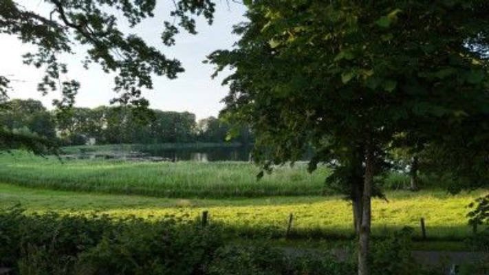 Seeblick Jürgenshagen 