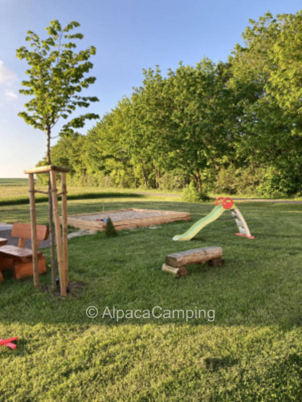 An der Wildblumenwiese #3