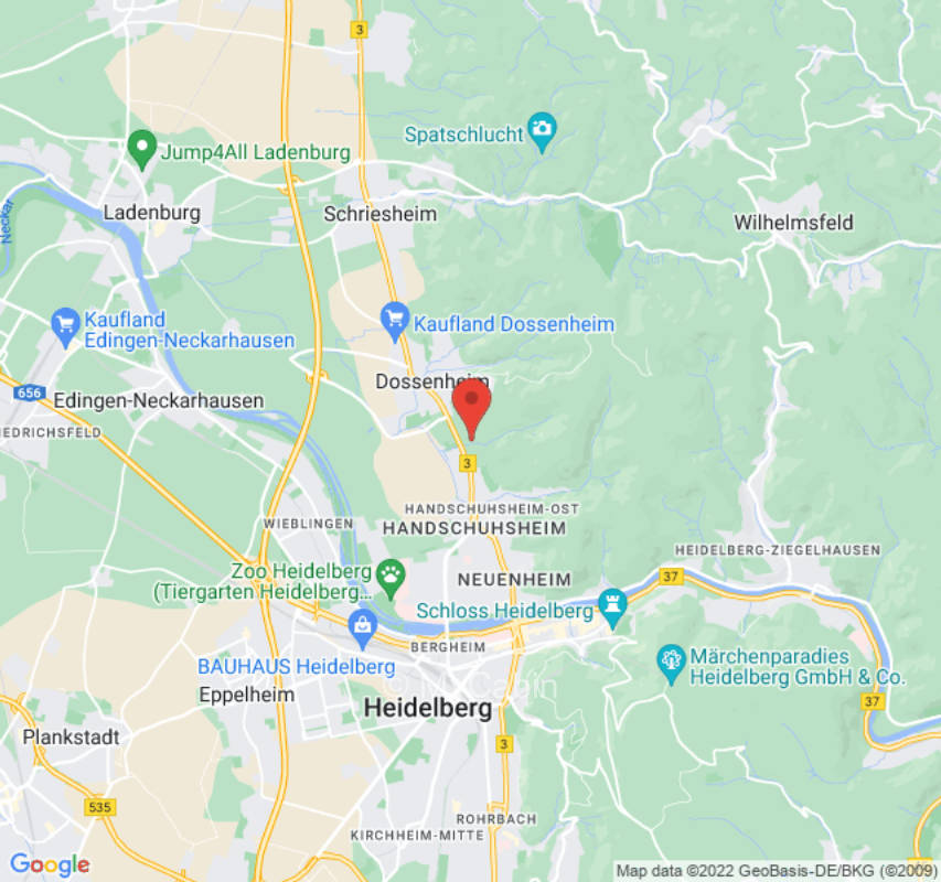 Garten nur wenige Minuten vom Zentrum Heidelberg