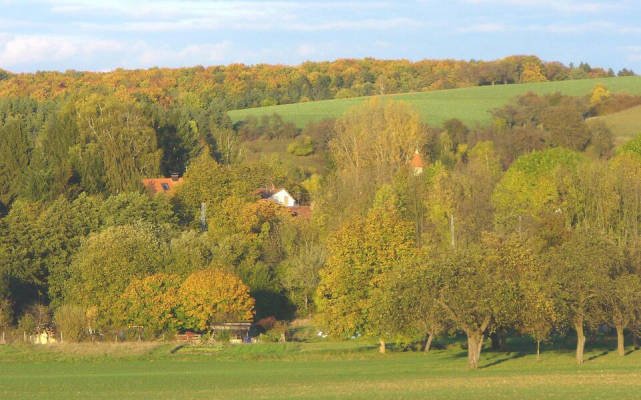 Wohnmobilstellplatz auf dem Land (Campspace 4543)