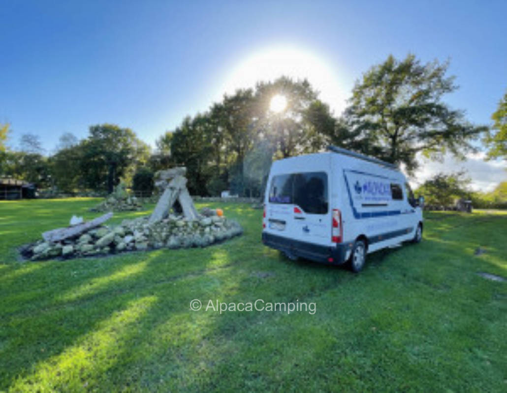 Grandpa's stone willow #1