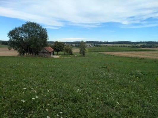 Natur pur an der Kammel