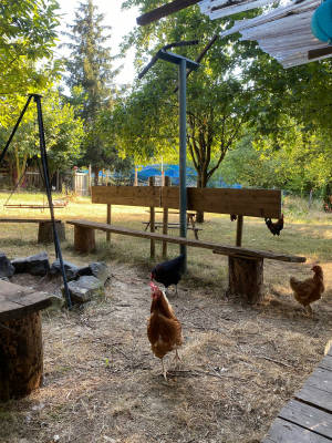 Herzen farm paradies im ahrtal