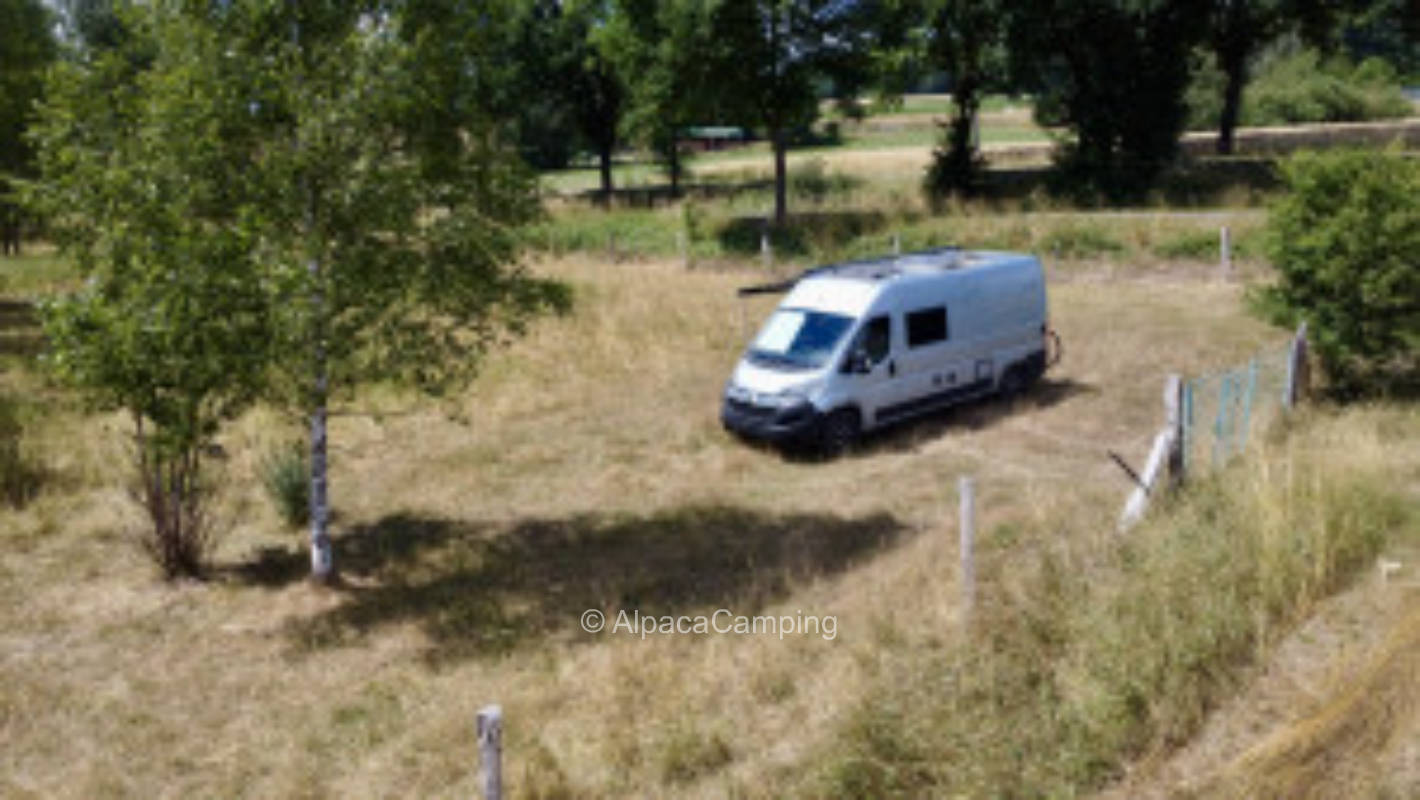 In the sheep pasture #3