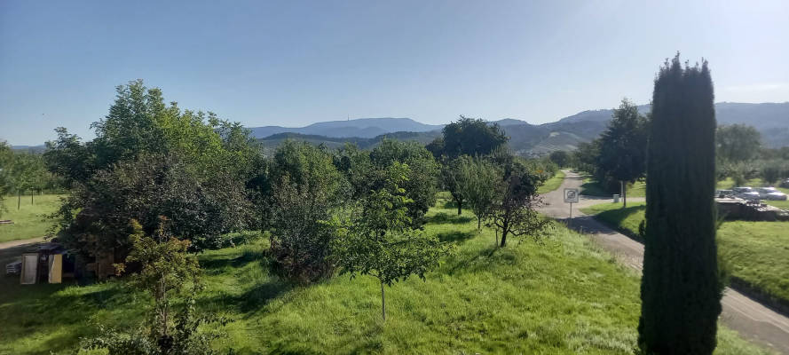Stellplatz auf streuobstwiese am dorfrand