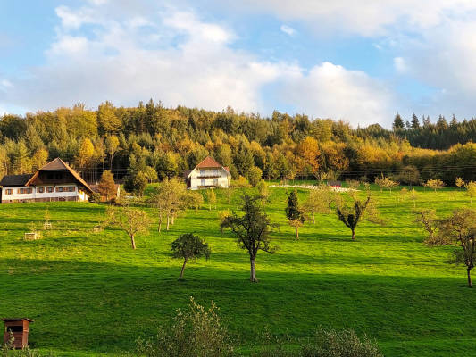 Hasenhof Gengenbach Black Forest