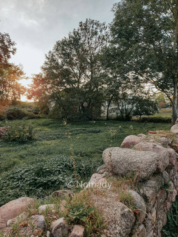Natur pur im Tollensetal (MV)