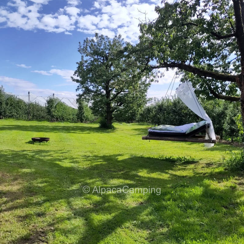 AlpacaCamping 2086