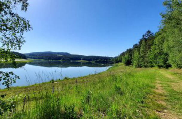 Camping at the lake Eixendorf