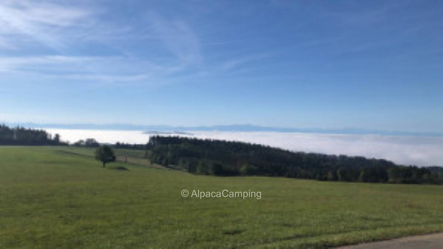 Panorama pur #2